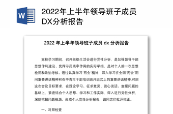 2022年上半年领导班子成员DX分析报告