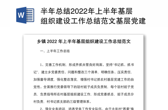半年总结2022年上半年基层组织建设工作总结范文基层党建工作汇报报告