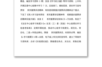 区宣传部理论工作总结及下步工作计划范文理论学习中心组理论教育工作汇报报告