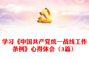 学习《中国共产党统一战线工作条例》心得体会（3篇）