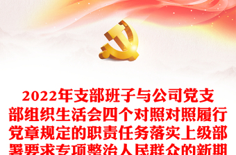 2023强化党支部组织生活会制度