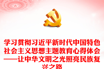 学习贯彻习近平新时代中国特色社会主义思想主题教育心得体会——让中华文明之光照亮民族复兴之路