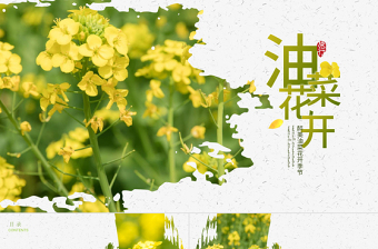 原创春天乡村旅游油菜花风景油菜花田PPT模板