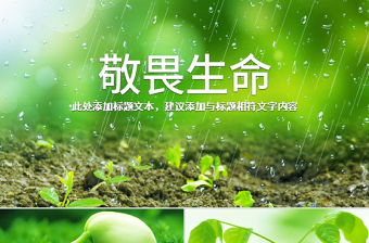 绿色植物的呼吸作用说课ppt