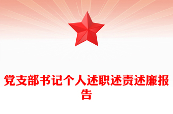 2023年党支部书记个人述职述责述廉报告