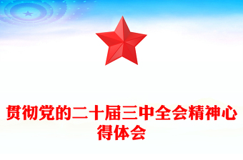 贯彻党的二十届三中全会精神心得体会