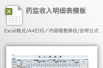 药监收入明细表模板