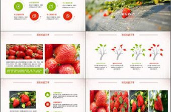 绿色水果草莓种植大棚草莓ppt模板